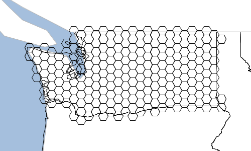 layer graticule hexagon intersecting