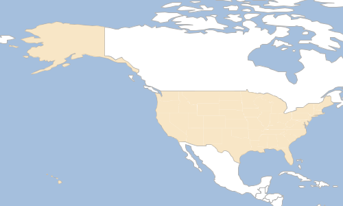 style fill map